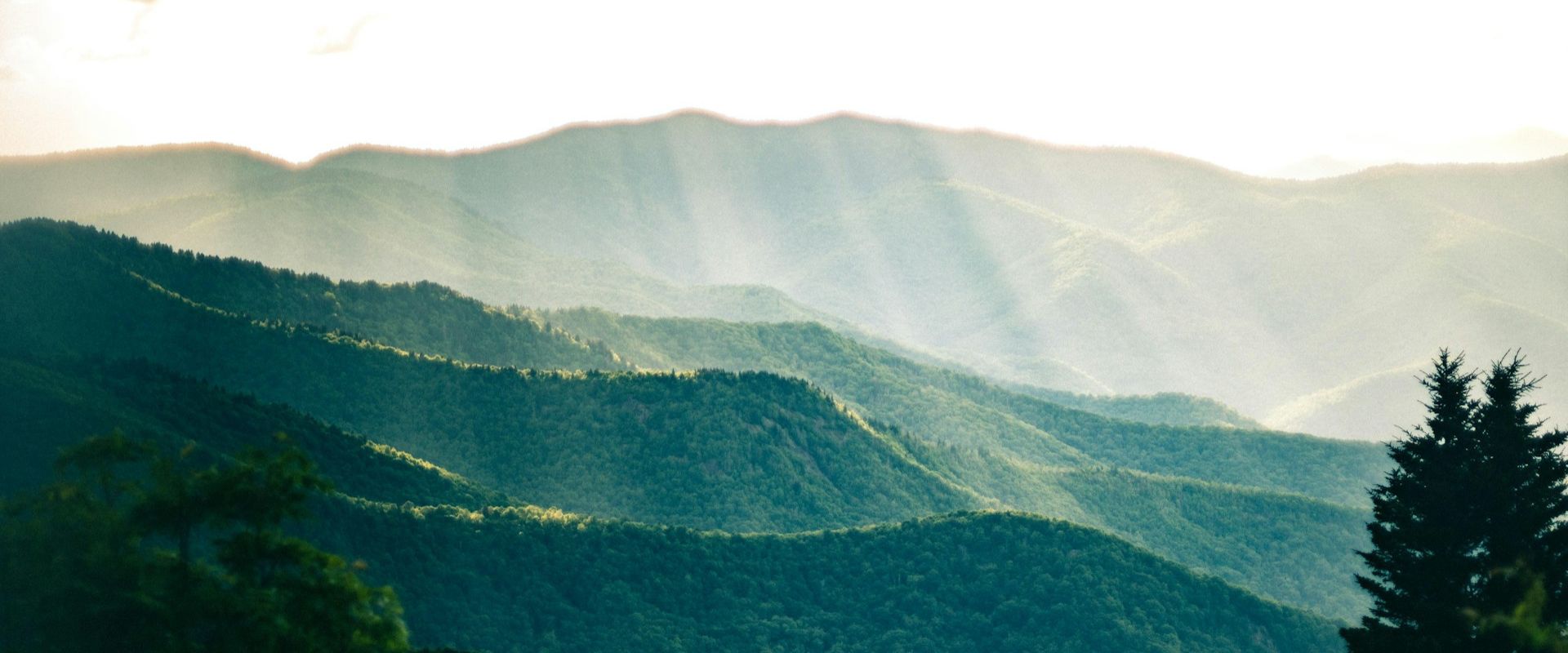 Asheville editorial