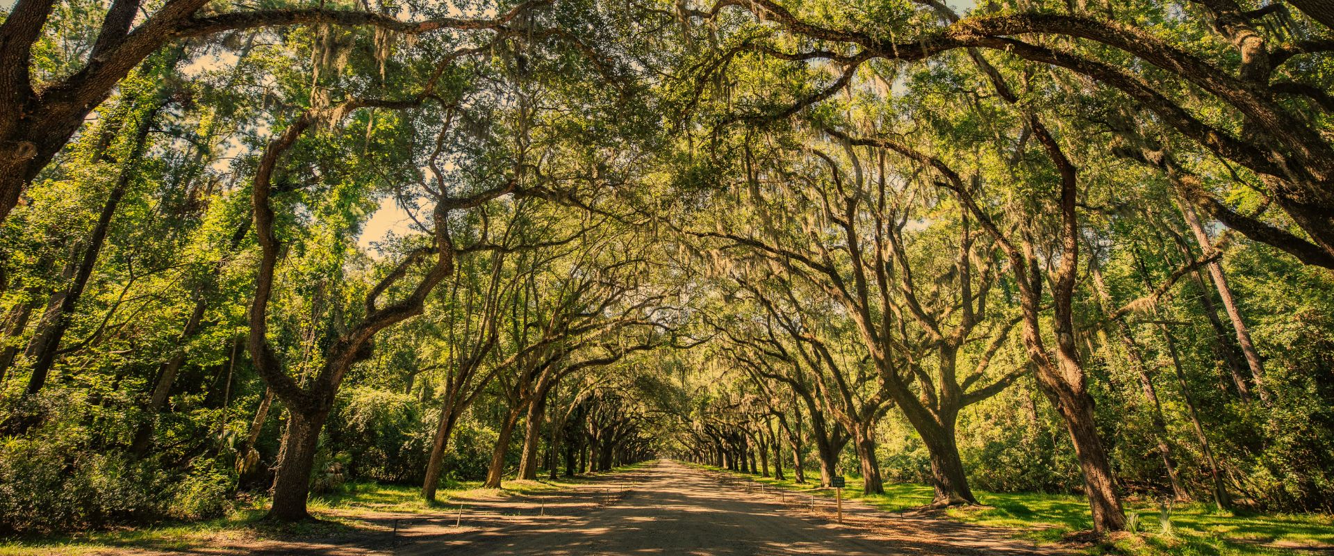 Charleston editorial