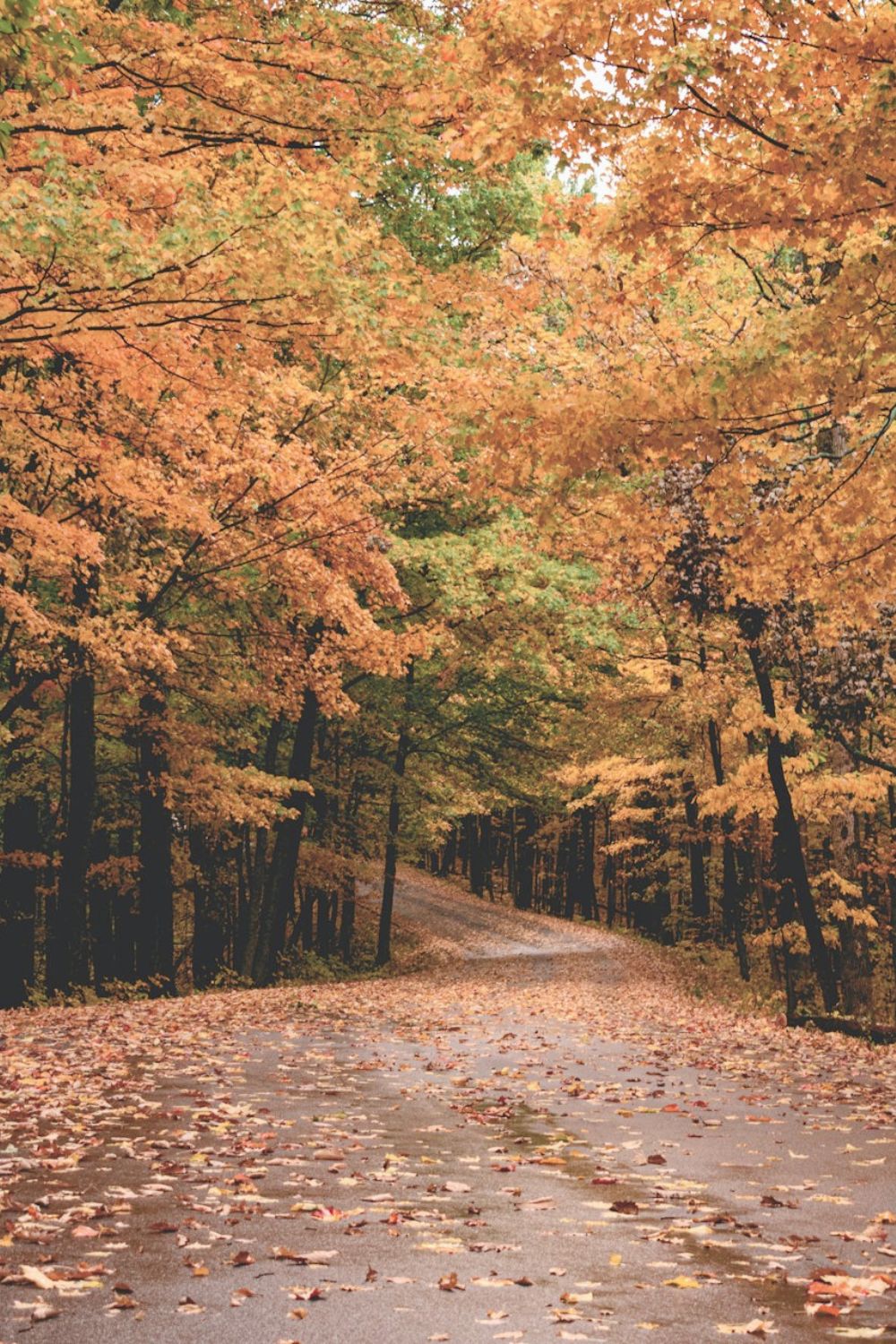 Hudson Valley