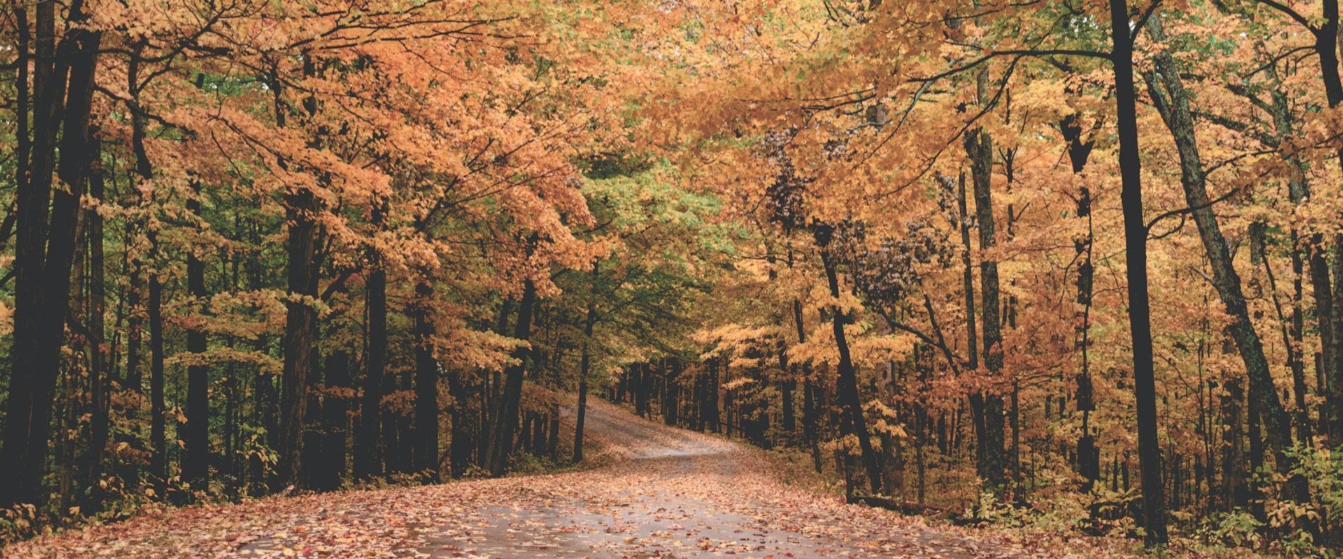 Hudson Valley editorial