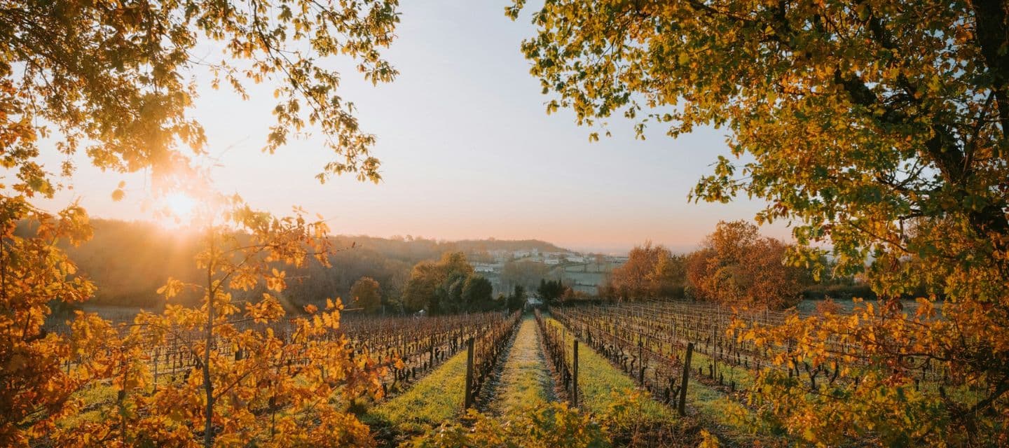 Napa — Wine Country · Northern California