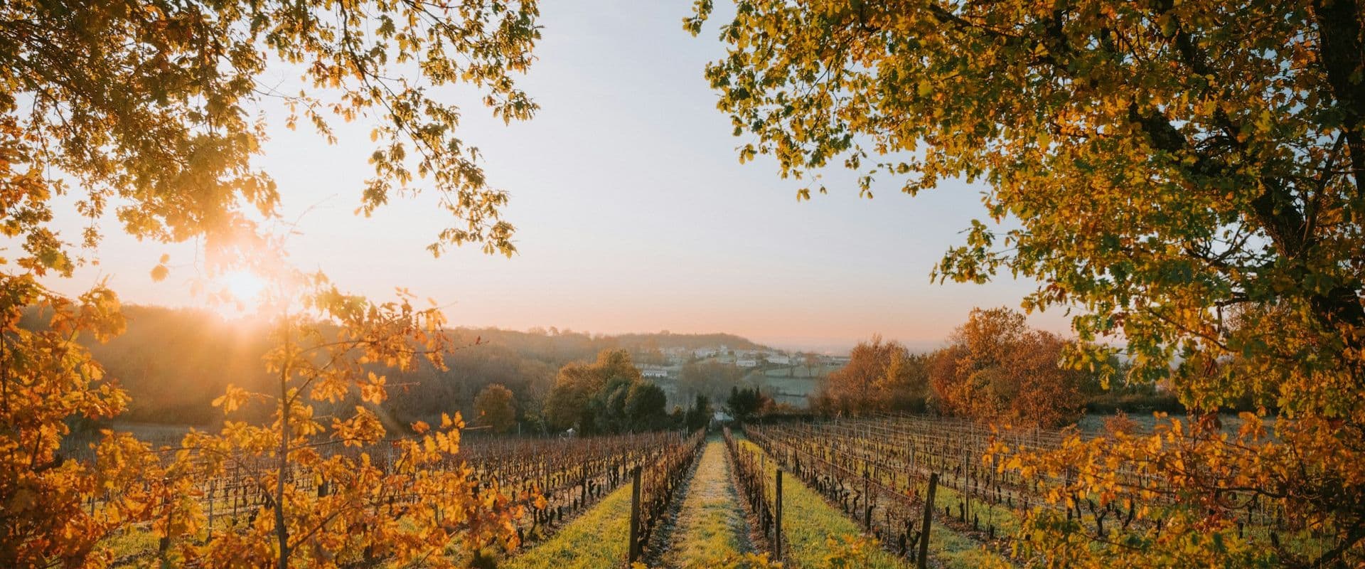 Napa wedding vendors