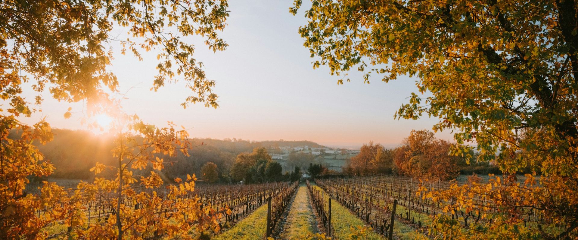 Napa editorial