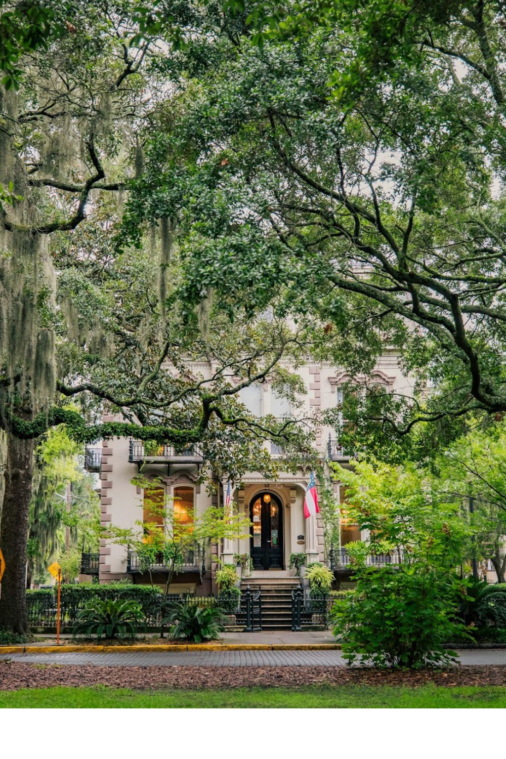 Savannah