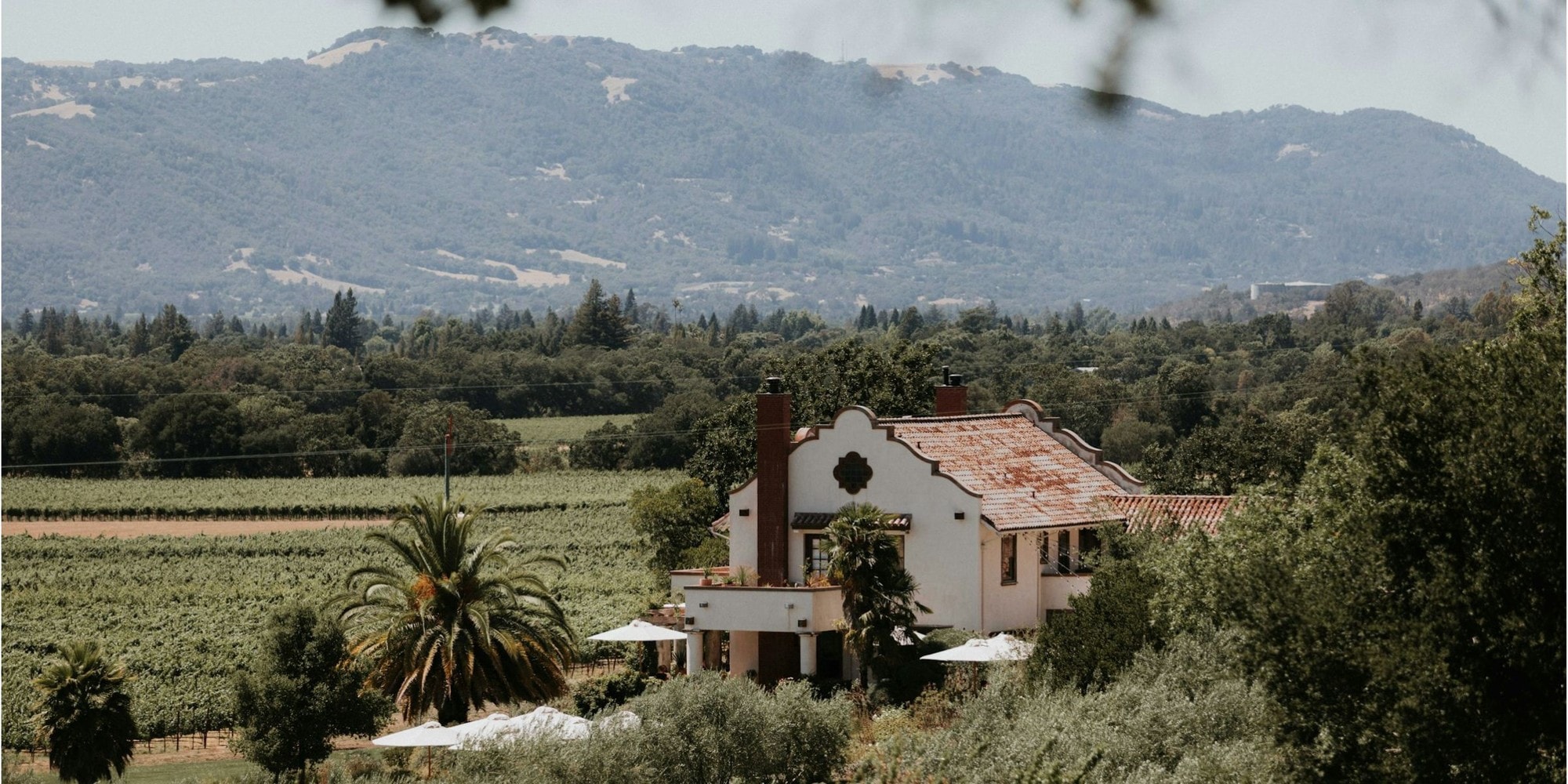 How Much Does a Napa Valley Wedding Cost in 2026? An Honest Breakdown