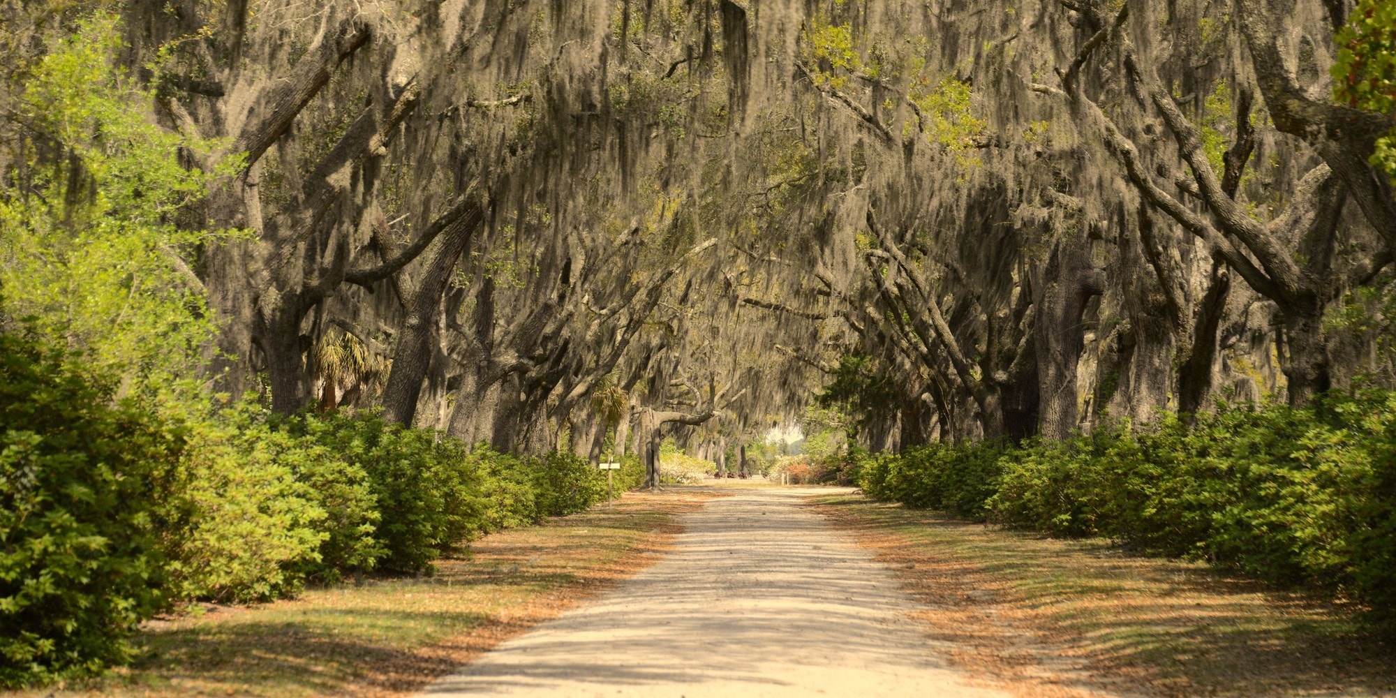 Getting Married in Savannah: What It Costs in 2026 and What Makes This Market Different