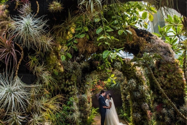 Daniel Stowe Botanical Garden (Test)